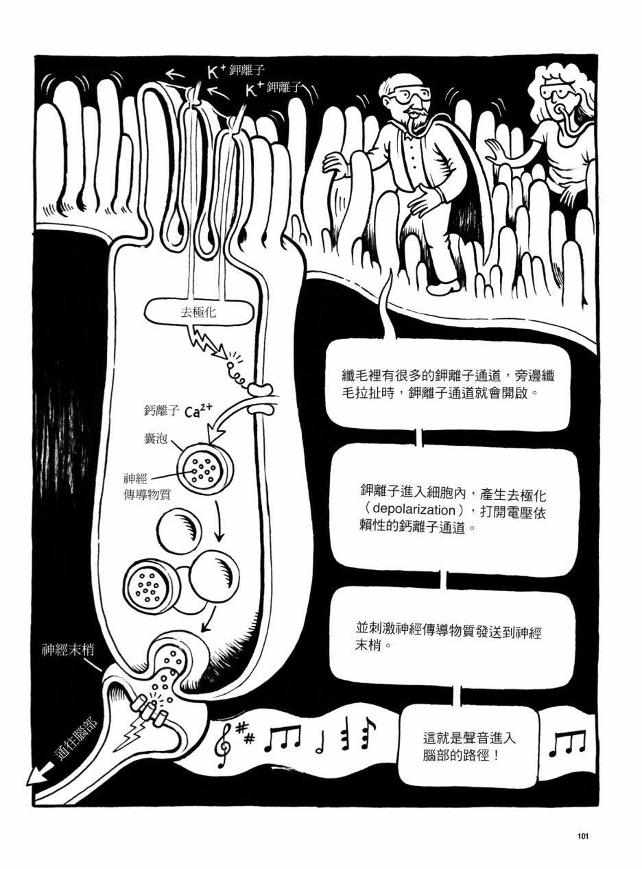 第101页