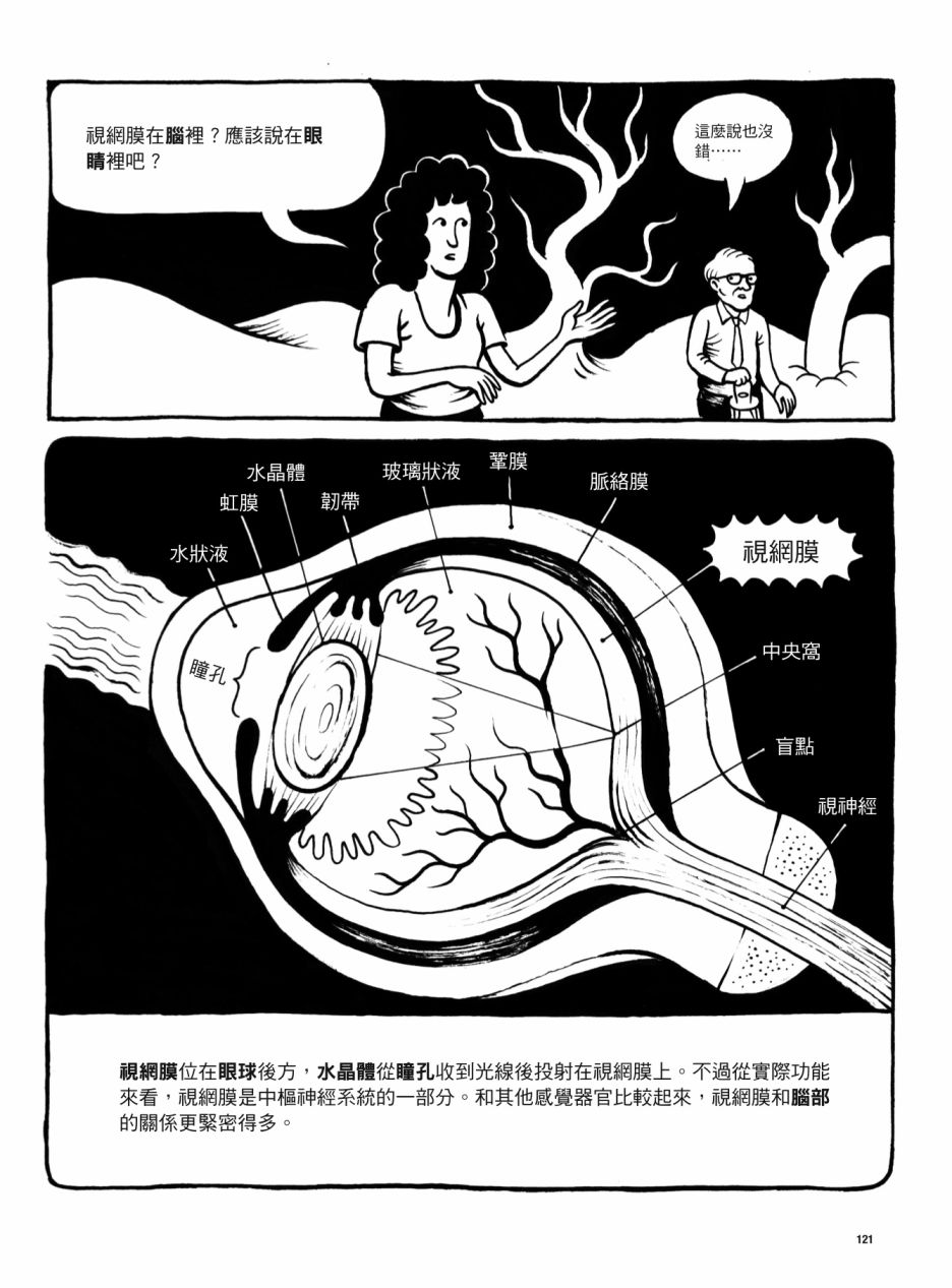 第121页
