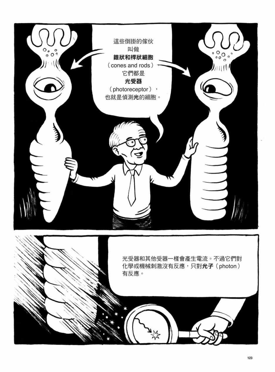 第123页