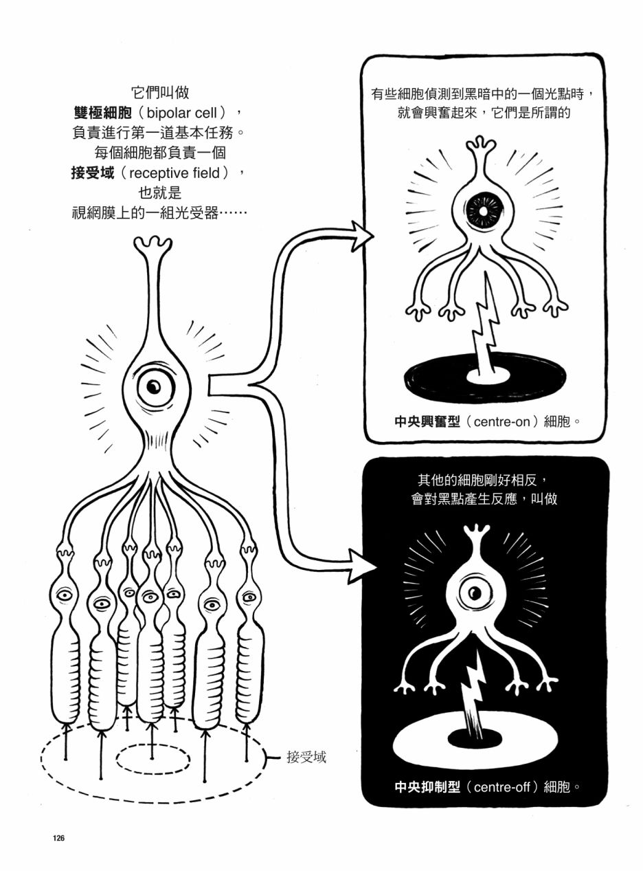第126页