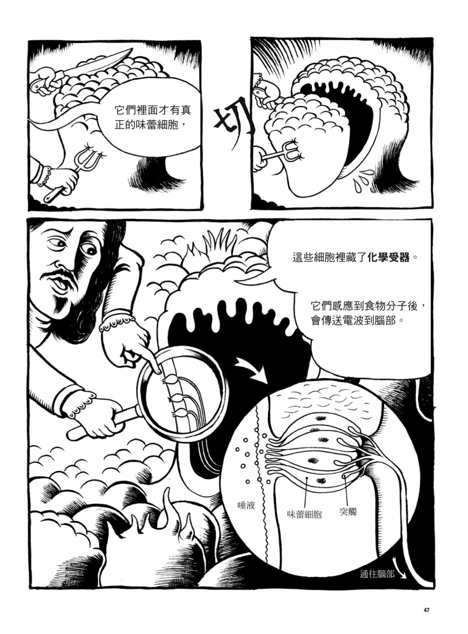 第47页