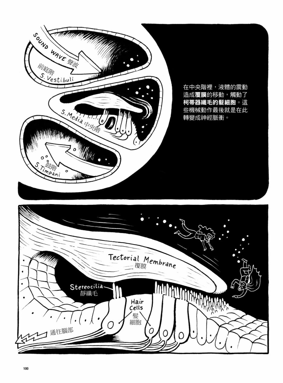 第100页