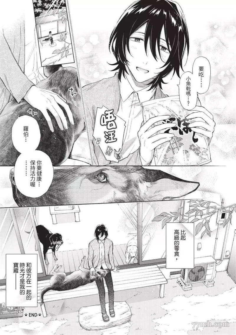 第223页