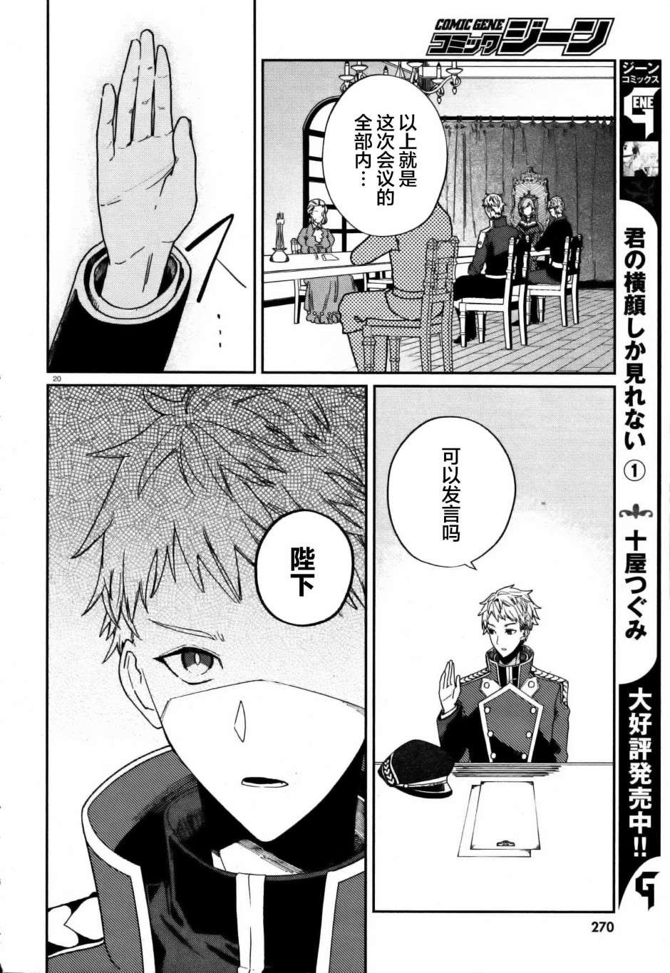 第20页