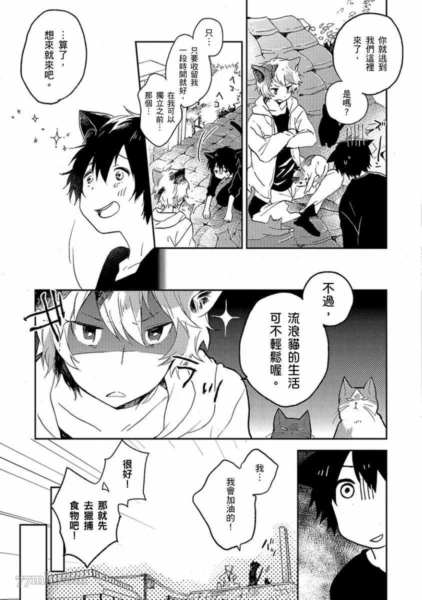 第146页