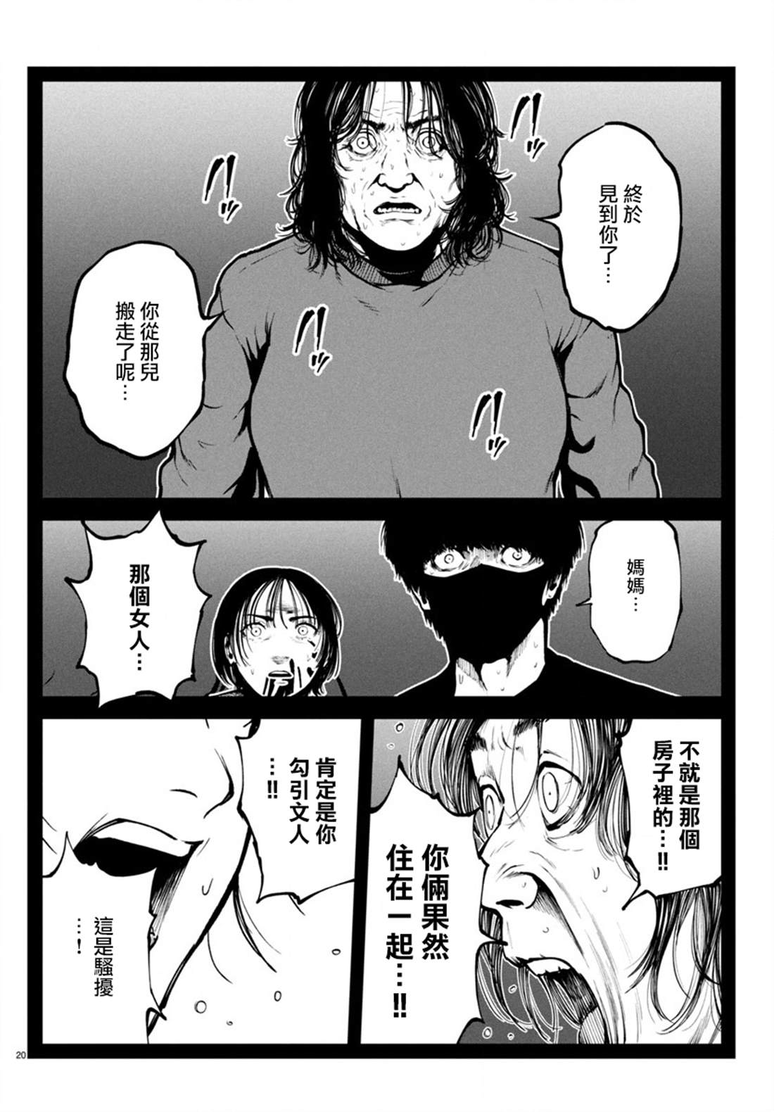 第20页
