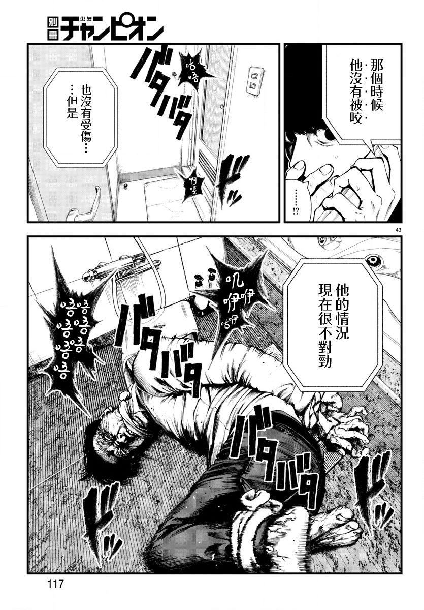 第43页