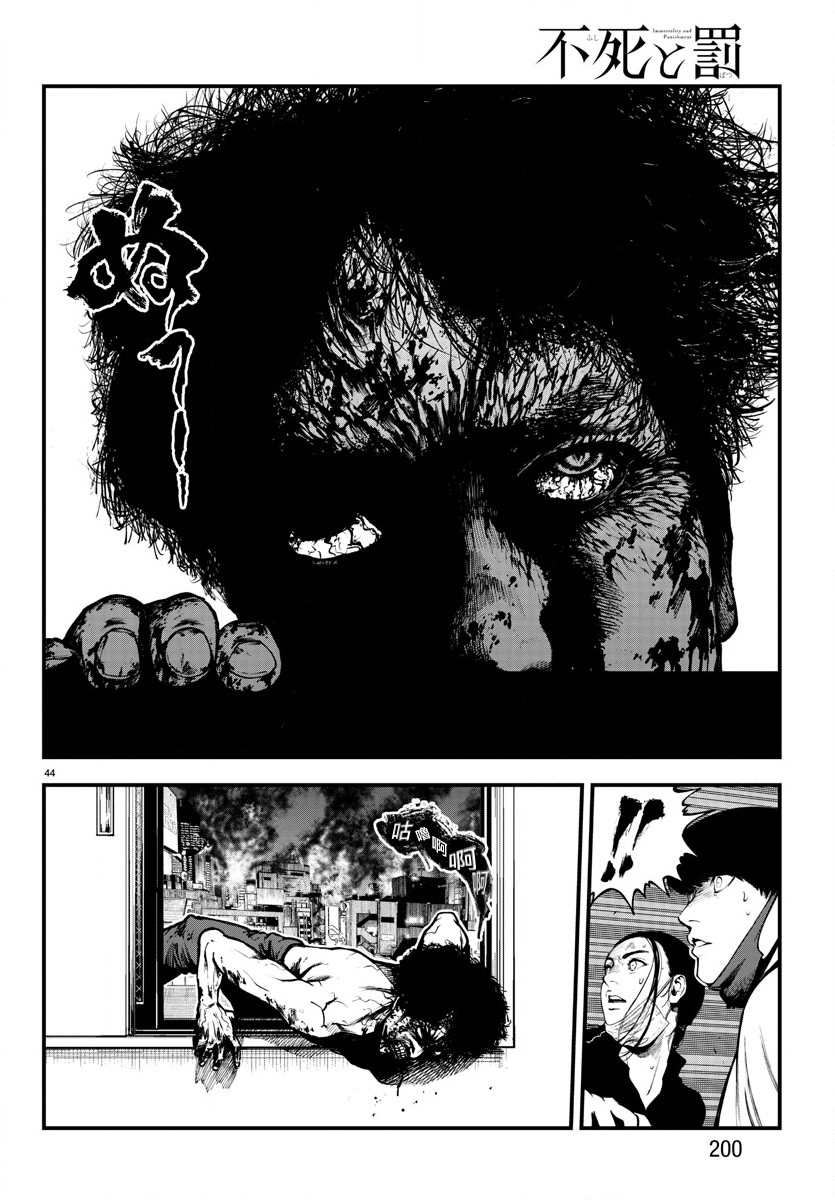 第43页