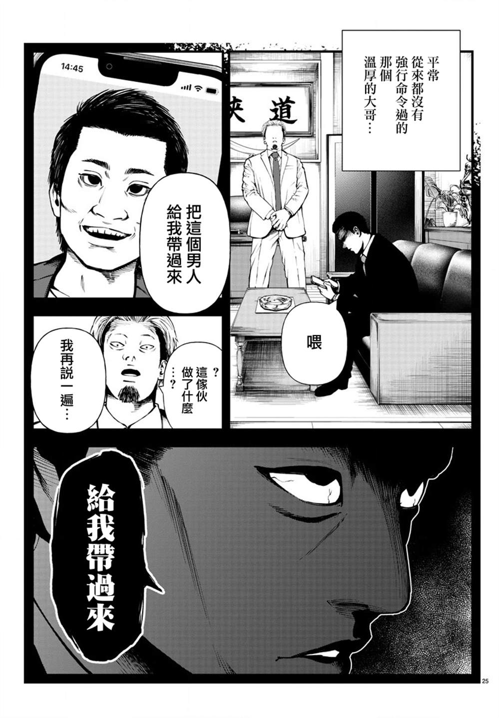 第25页